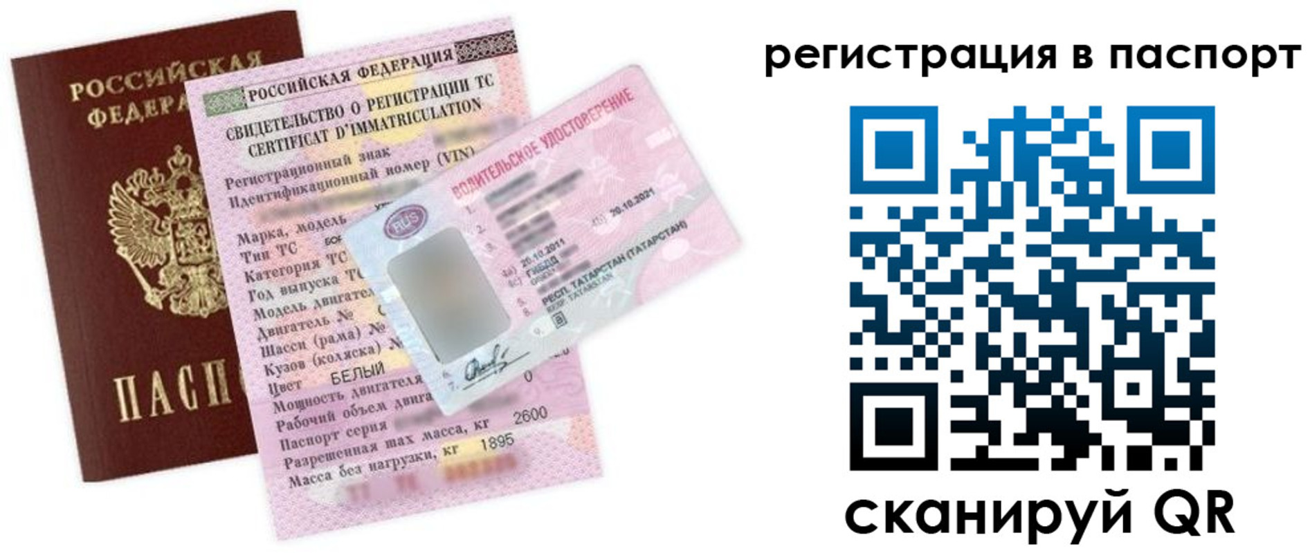 прописка для школы в Владимире